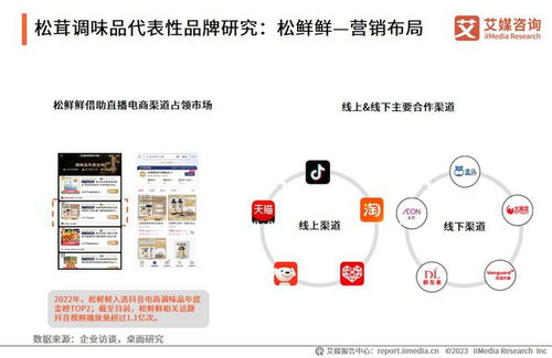 艾媒咨询 2023年中国调味品行业产品创新专题研究报告